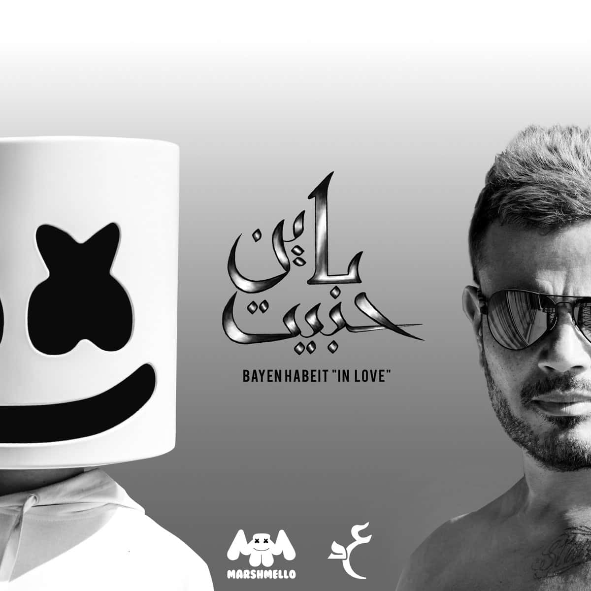 عمرو دياب