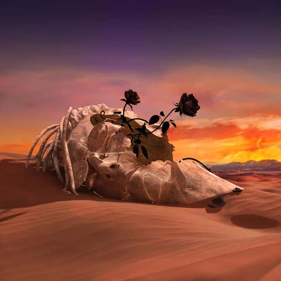 ماد بلاك روز مغربي معازف