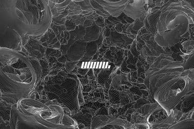 Woulg وولج