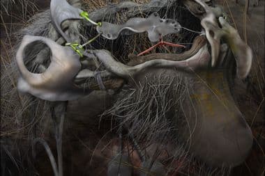 Optimized-IM076_Bungalovv_Donde_Hubo_Fuego_3000x3000