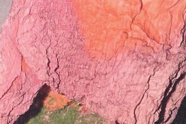 MONDOJ12_web