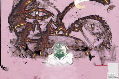 Cover (2)