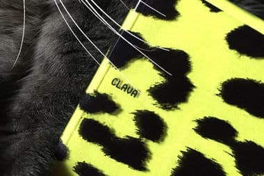 Wesqk-Coast—CLAVA