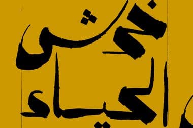 خدش الحياء
