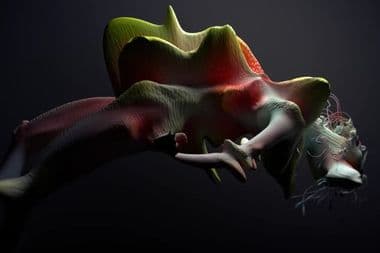 بيورك معازف ma3azef bjork