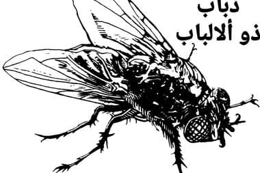 جاي جاي معازف ma3azef jay jay