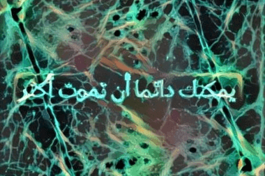 الراس معازف ma3azef el rass
