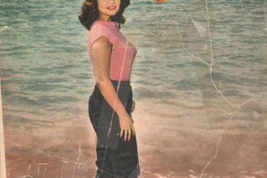 شادية