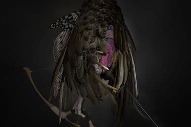 cover (5)