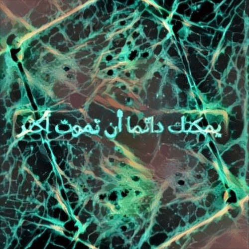 الراس معازف ma3azef el rass