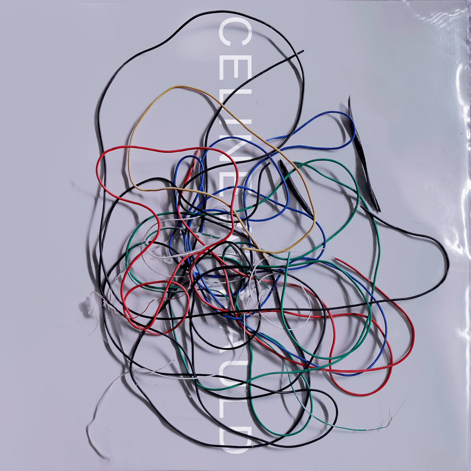 Celine Arnauld – Narrative