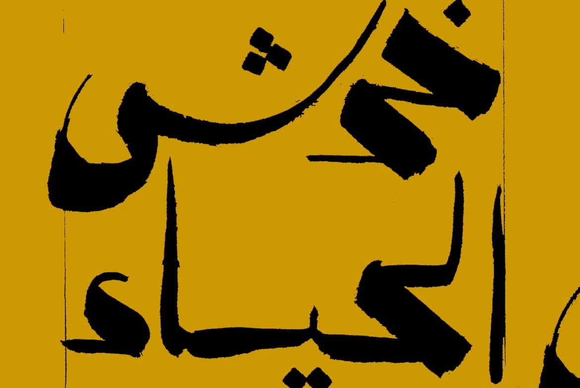 خدش الحياء