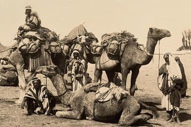 يا عم يا جمّال | ماضي وحاضر فن الحداء